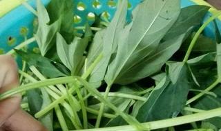 红薯的多种做法大全 红薯的多种做法大全